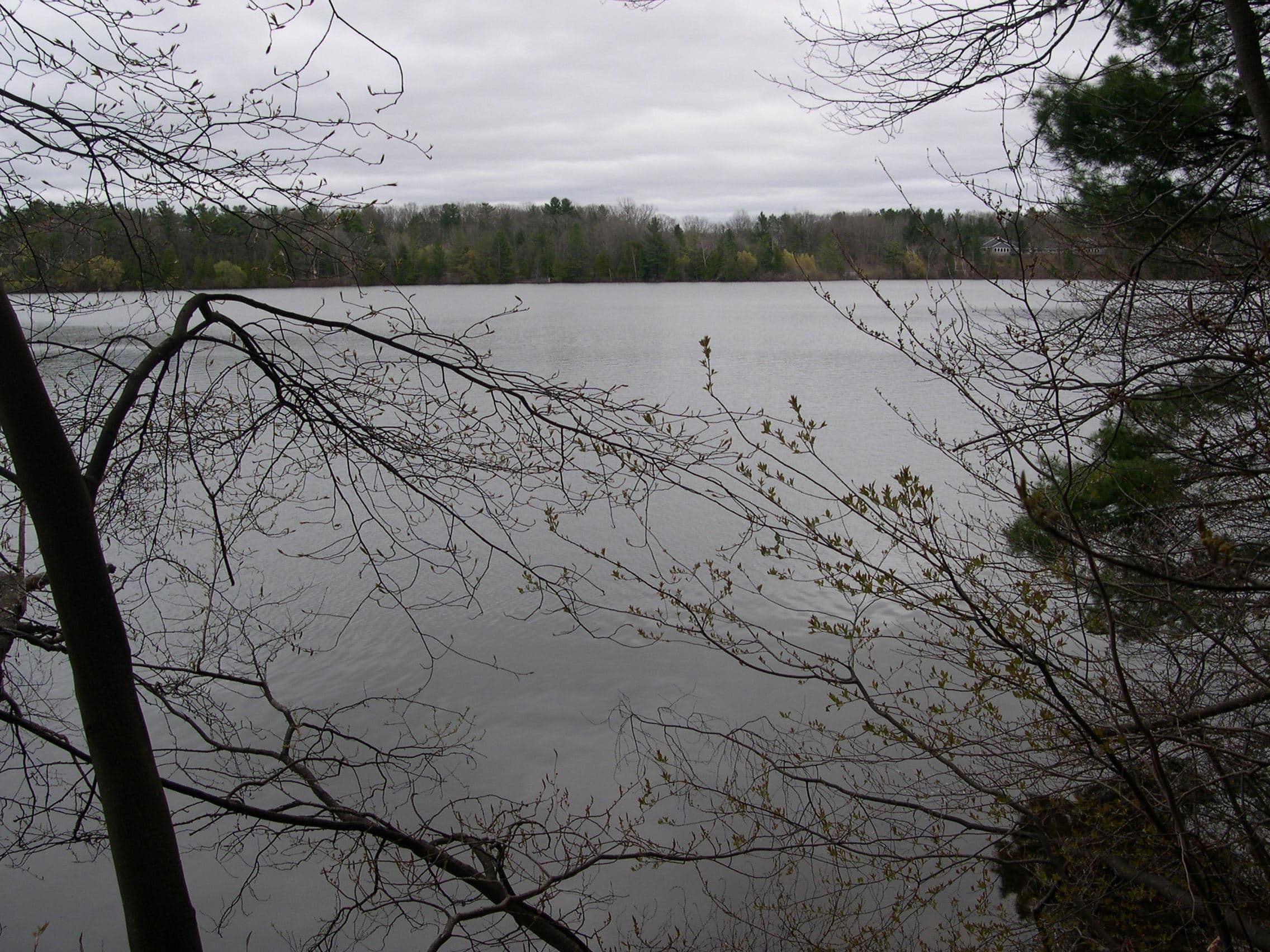 1589 Edgewater Ridge Lot: 7