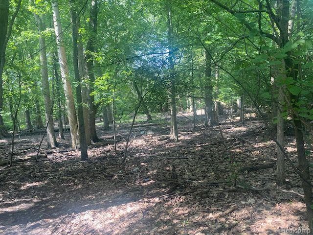 4.8 Acres Westview Road