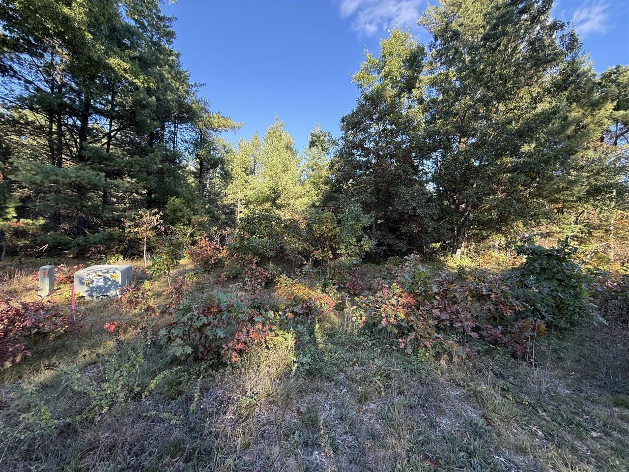 1242 Sydney Street 33