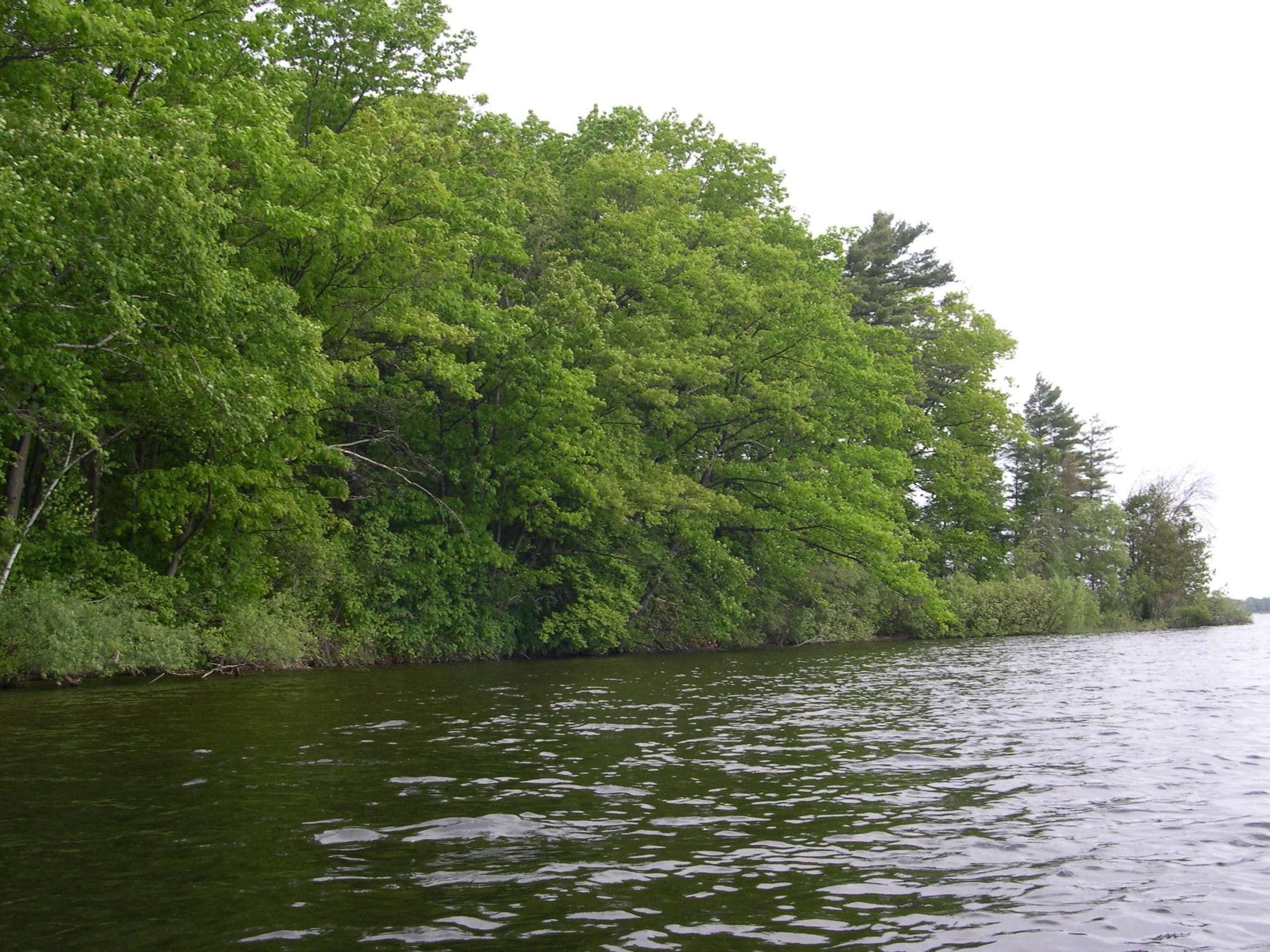 1573 Edgewater Ridge Lot: 5