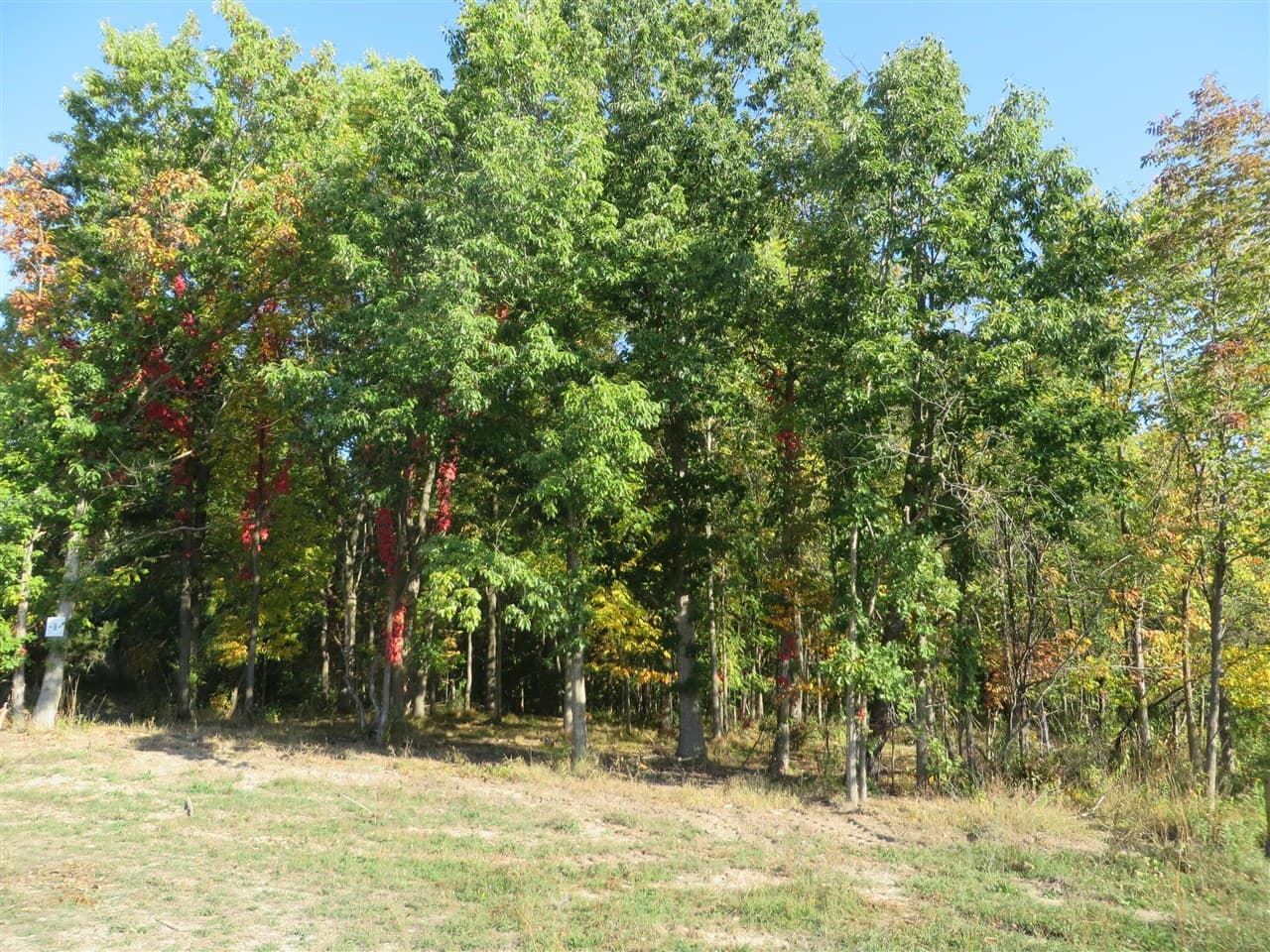 3473 Breezewood Court