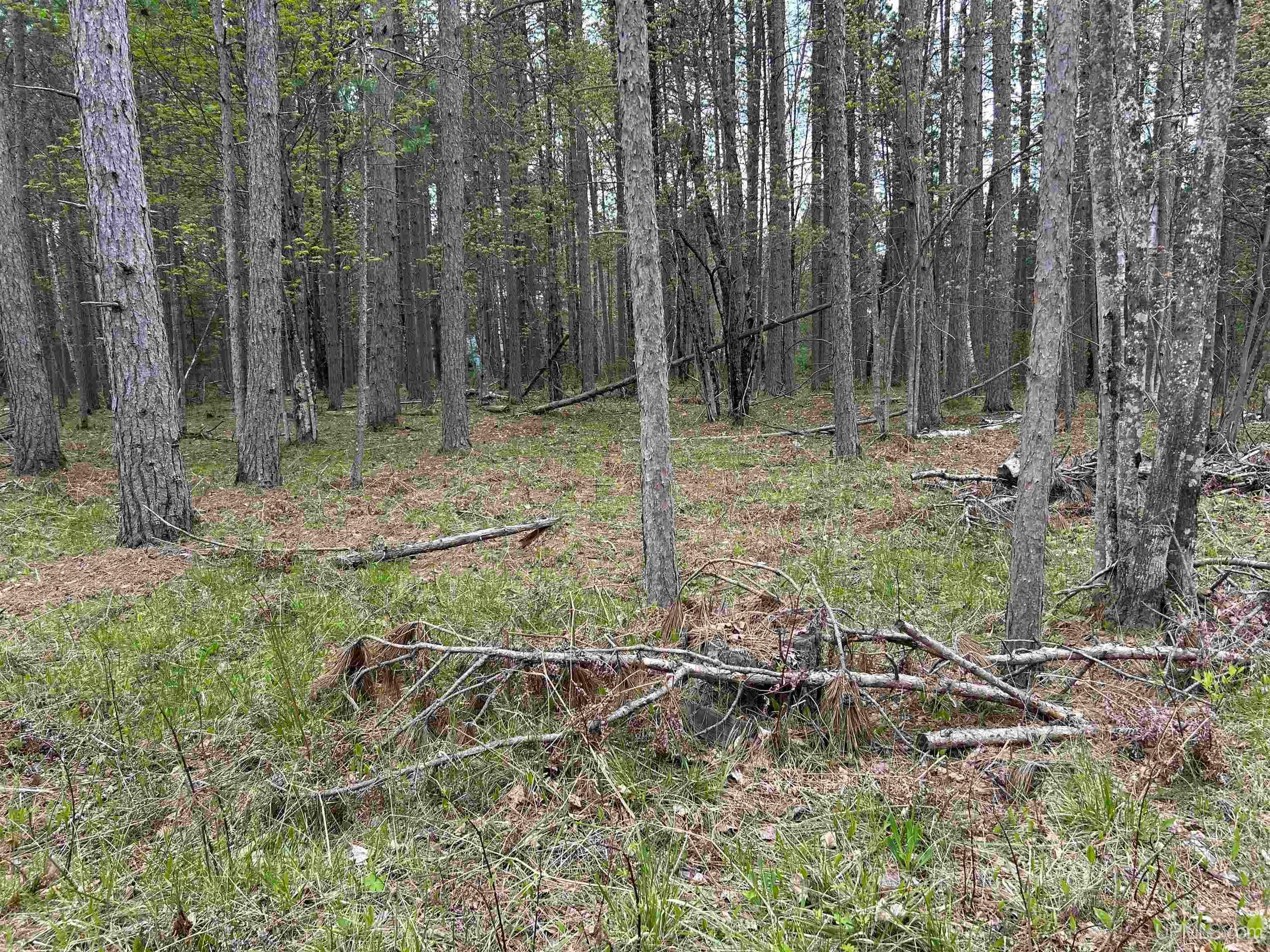 TBD Parcel 2 Paint River Road