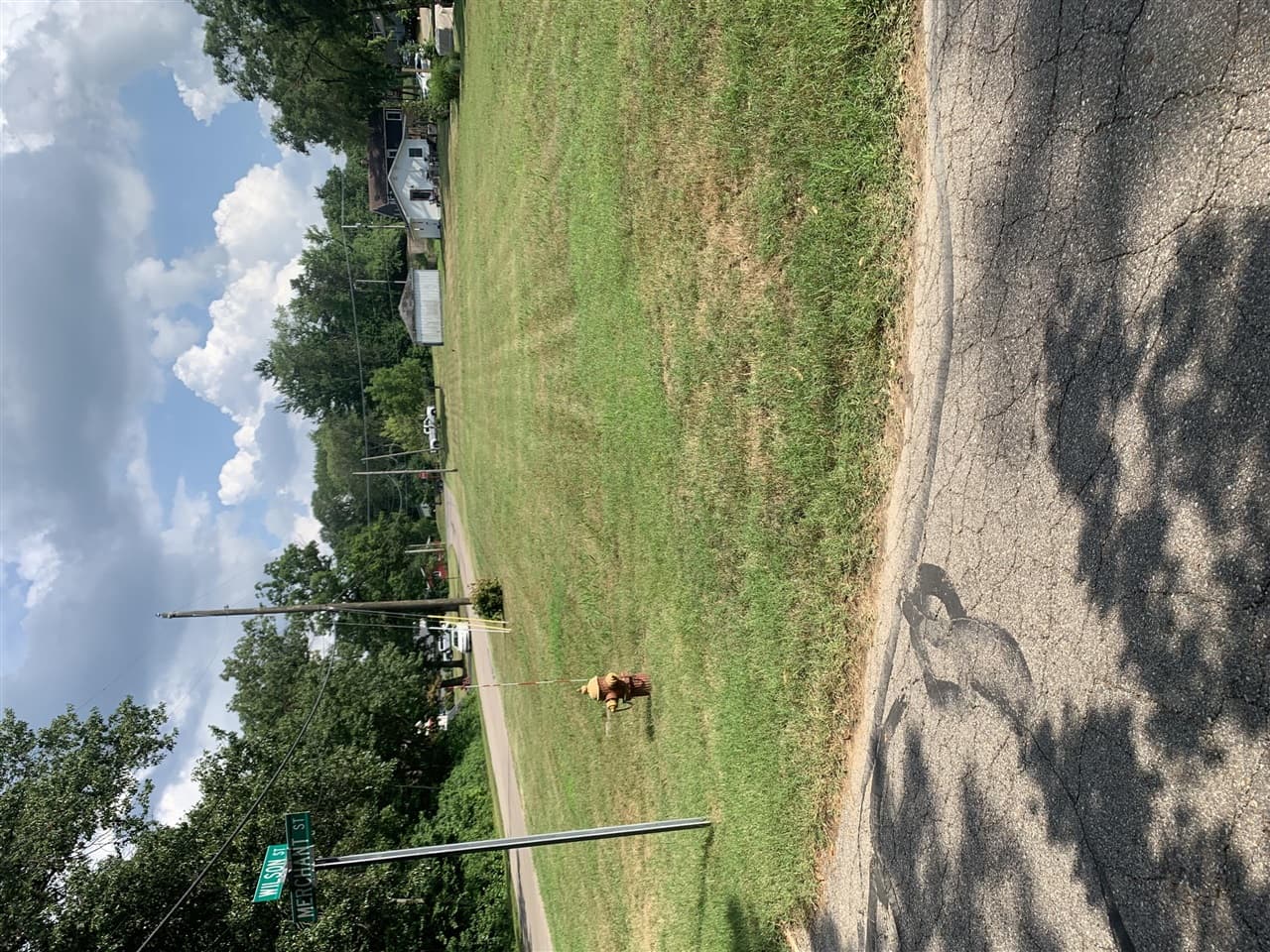 446 E Buffalo Street