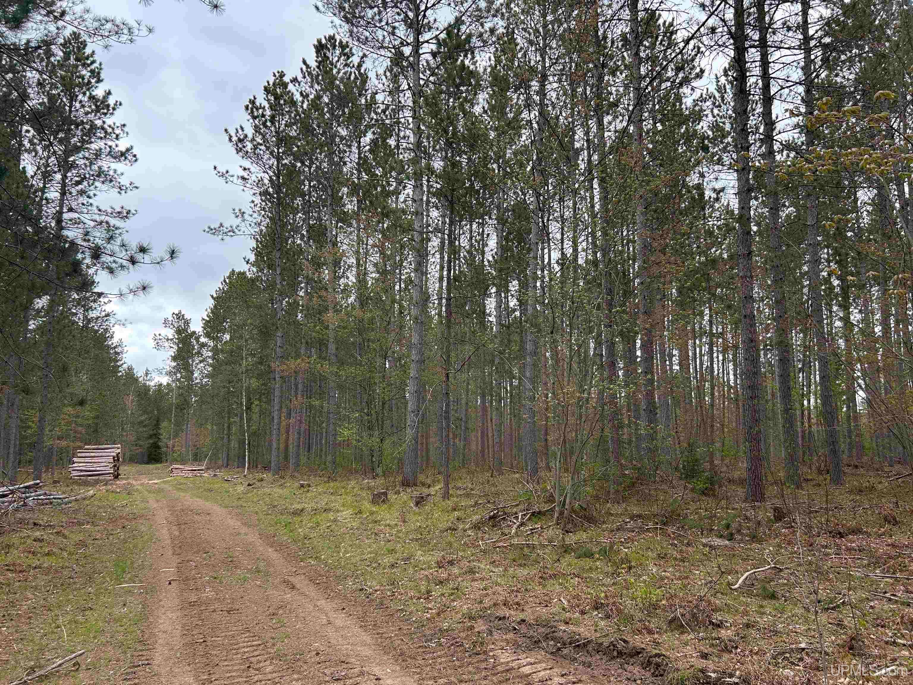 TBD Parcel 3 Paint River Road