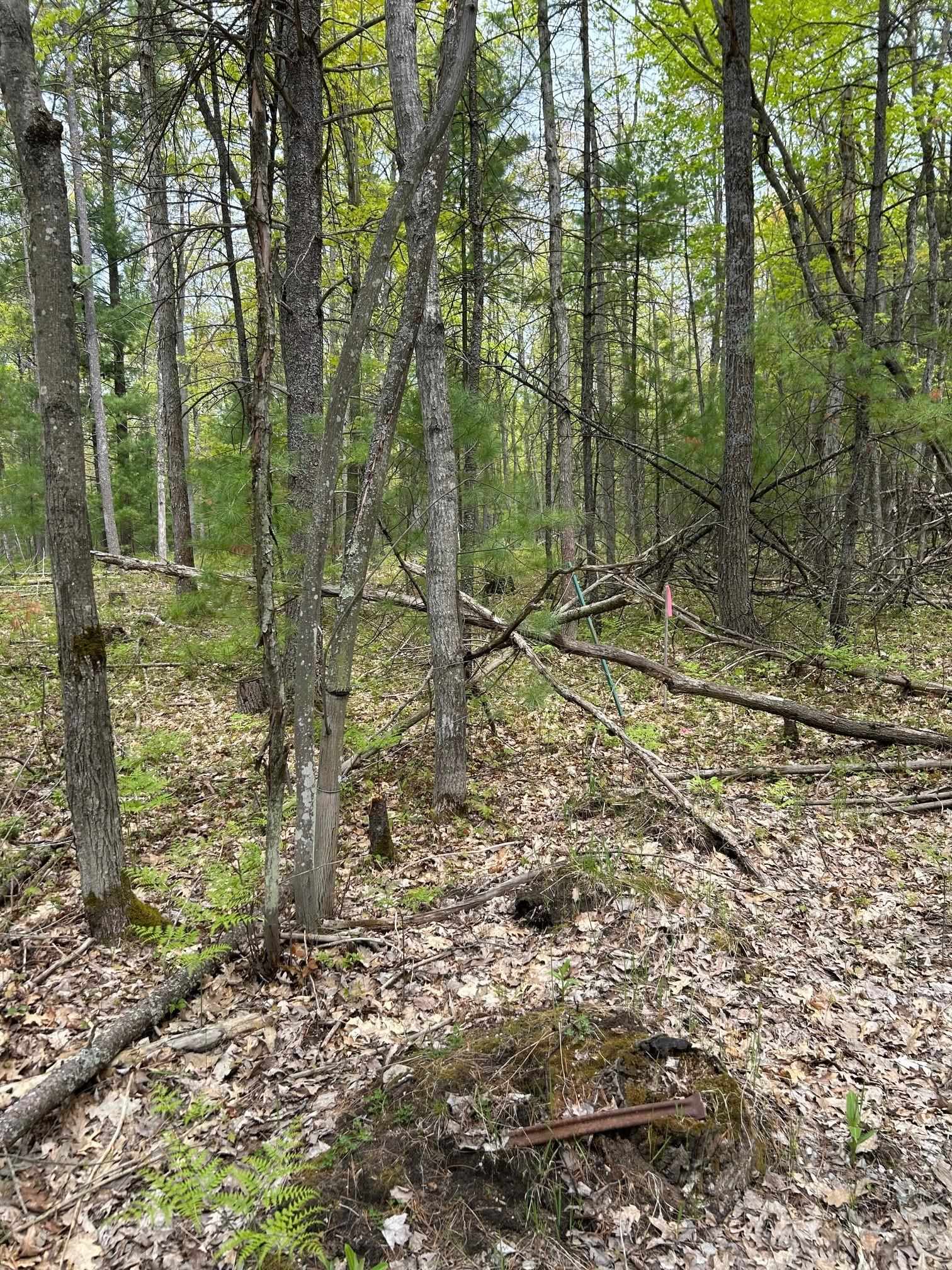 Muncie View Trail Lot: B