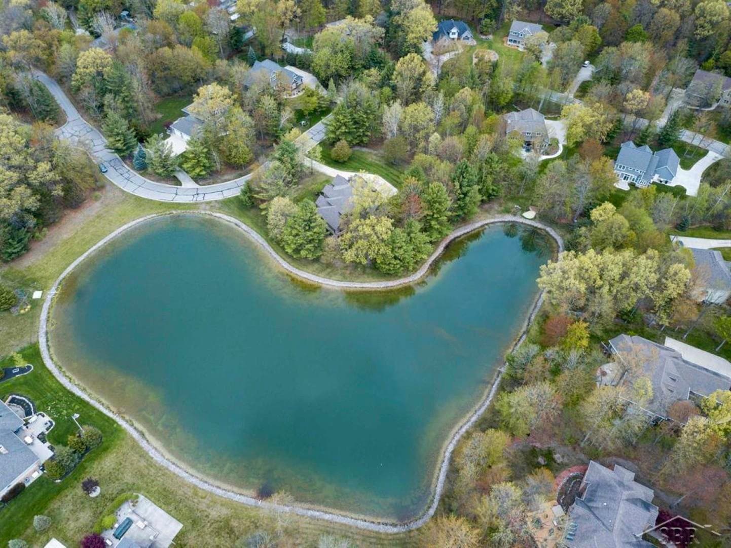 5007 Bristlecone Drive