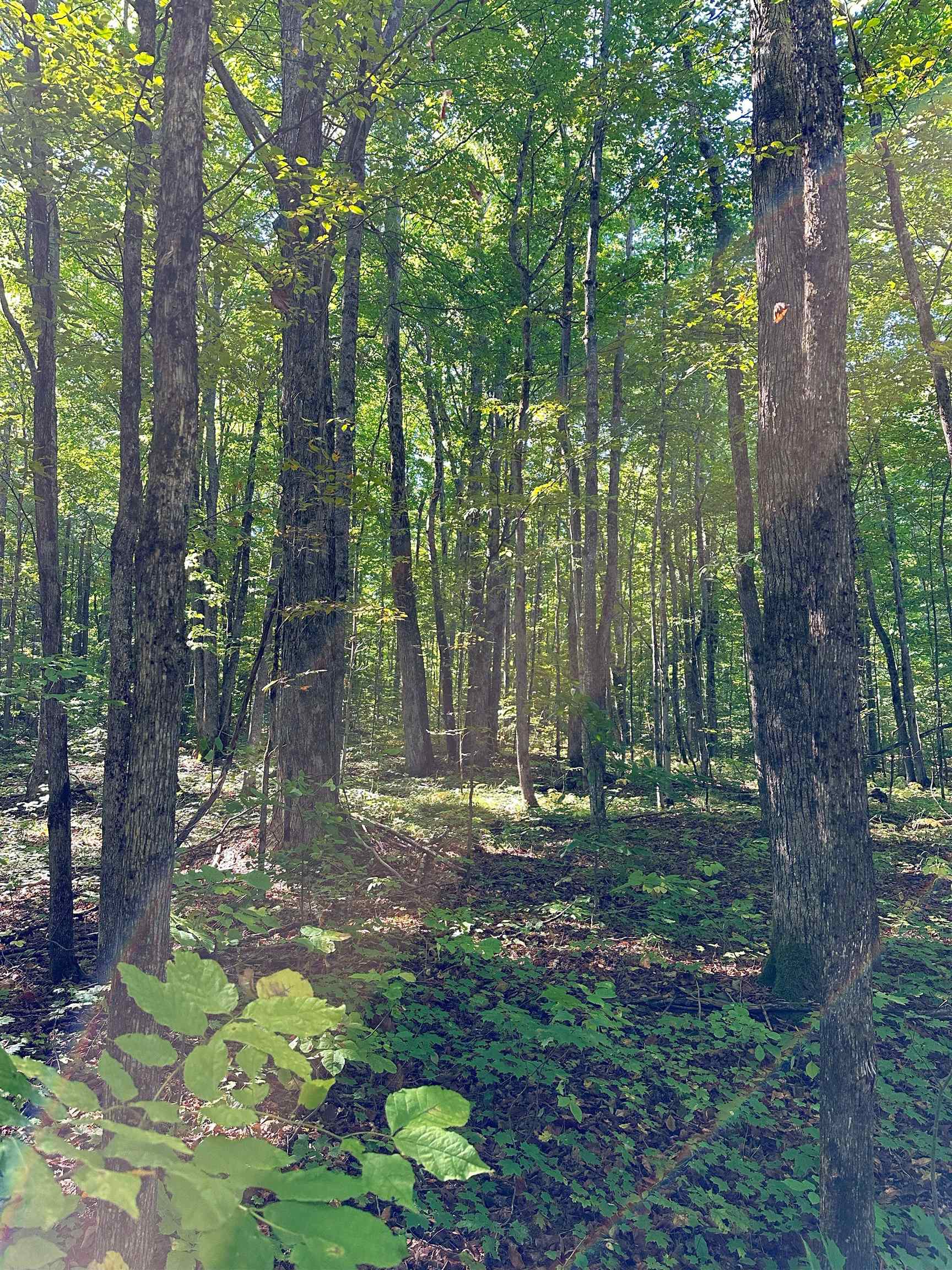 000 Woodland Drive NE