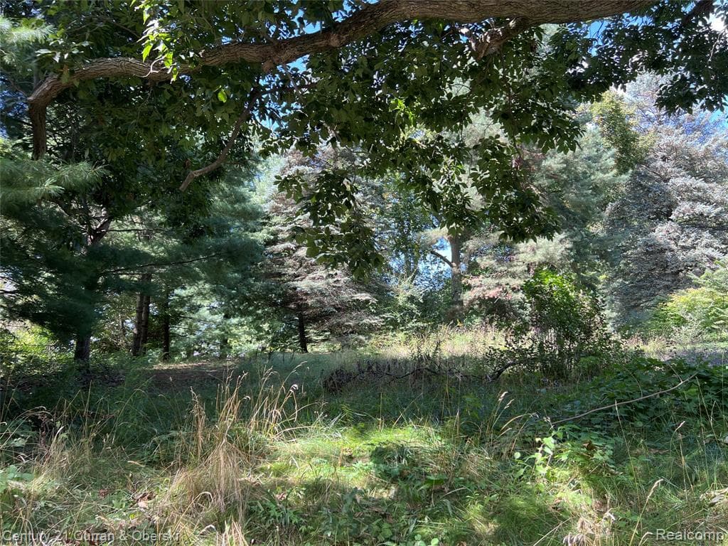 24917 Martindale Road