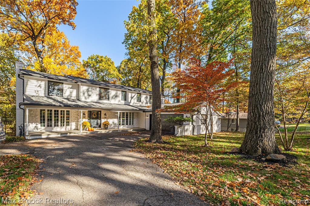 433 Whippers In Court