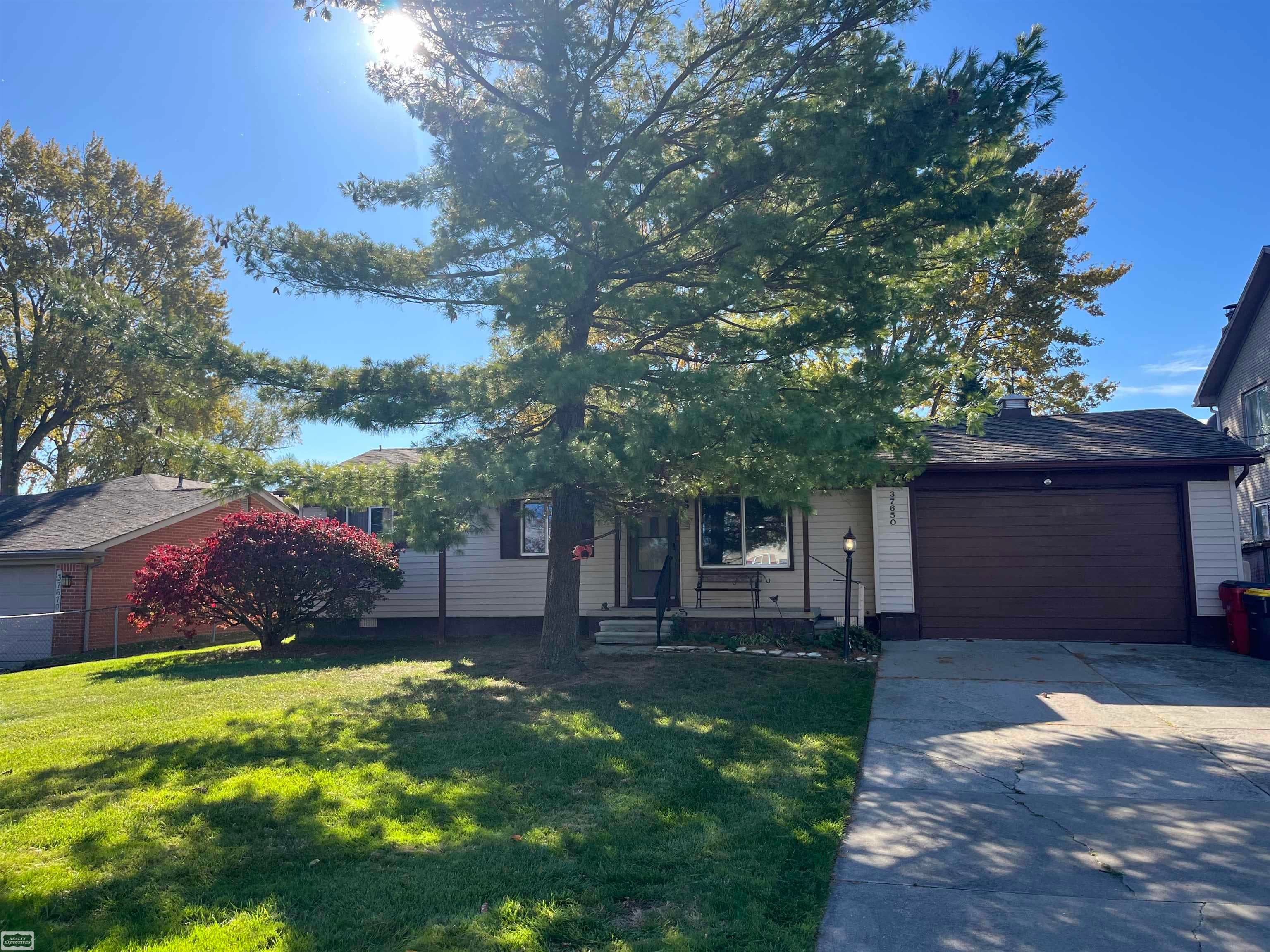 37650 Maplehill Street