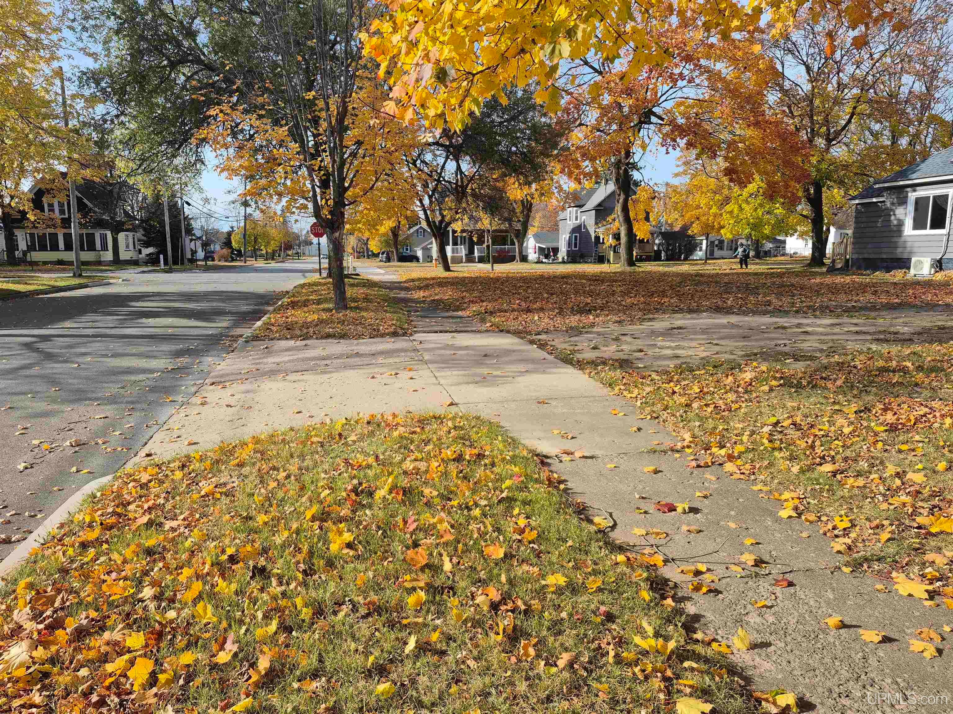 1002 Stephenson Avenue