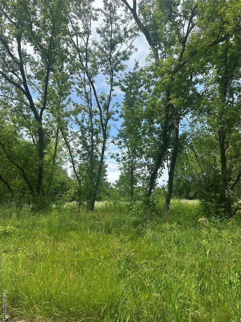 VL Lakeview Park Drive