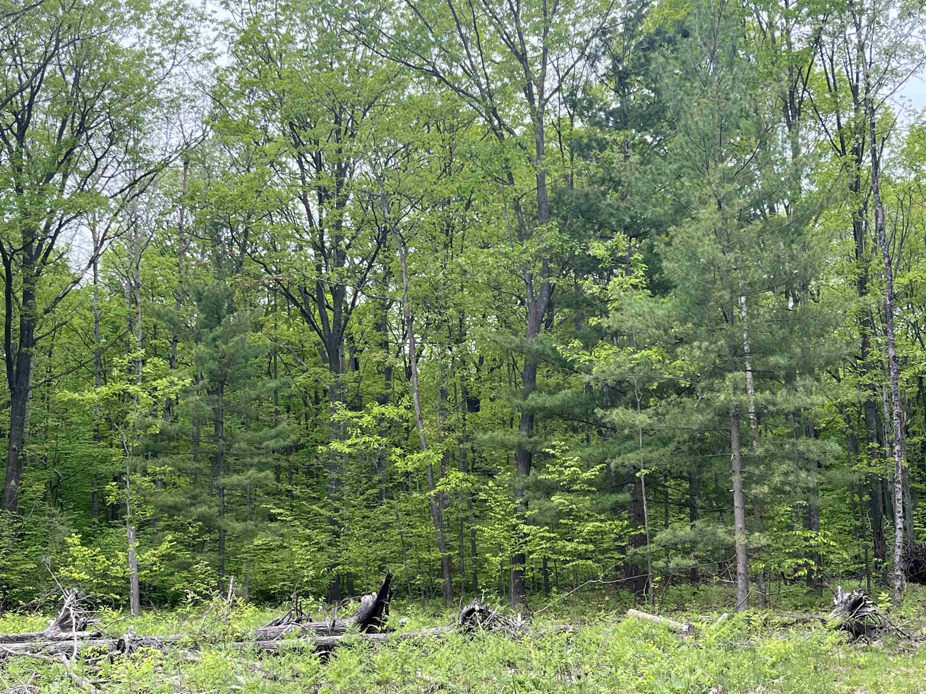 TBD Theron Road Lot: A