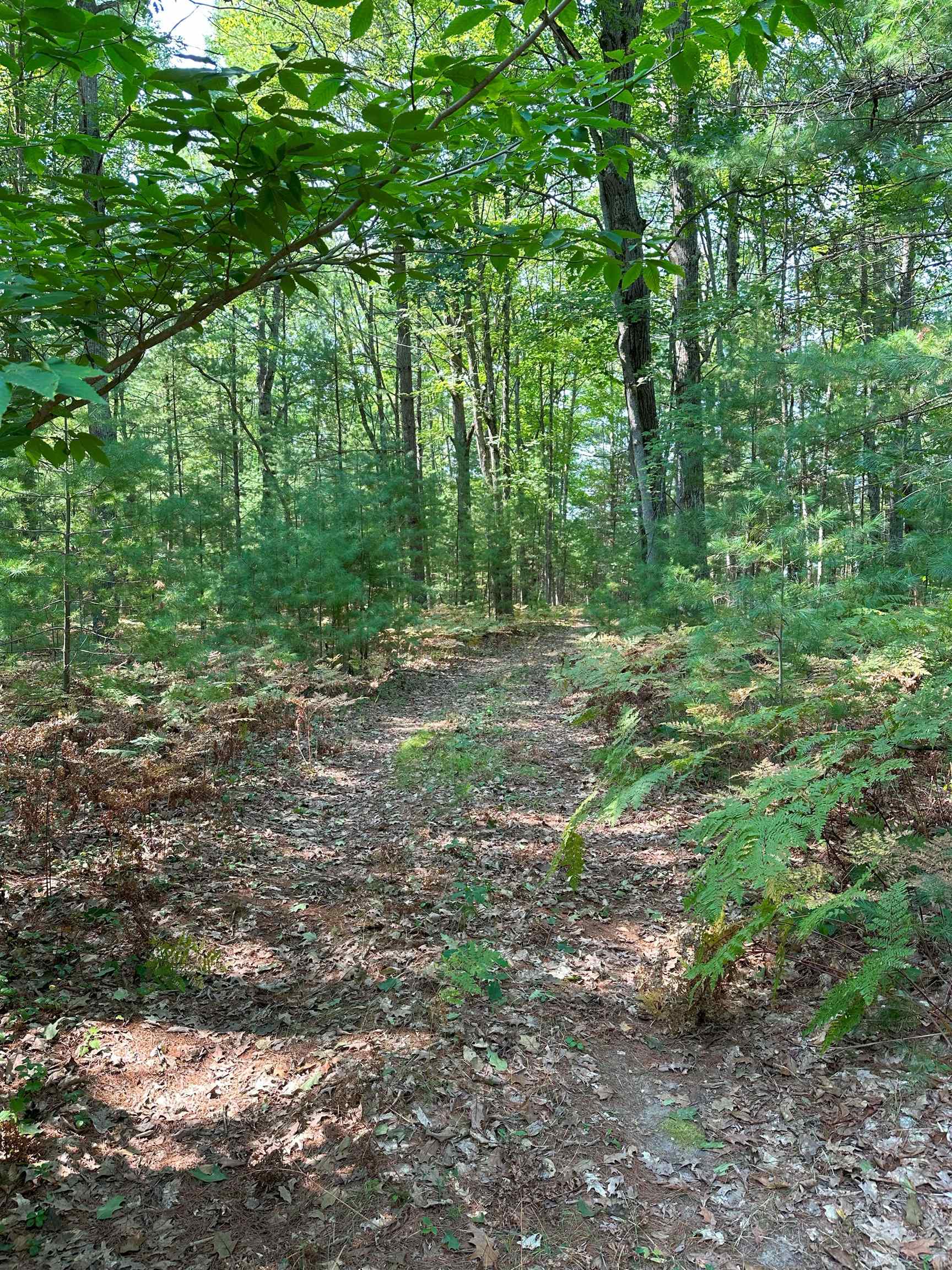 592 SE Blue Heron Drive