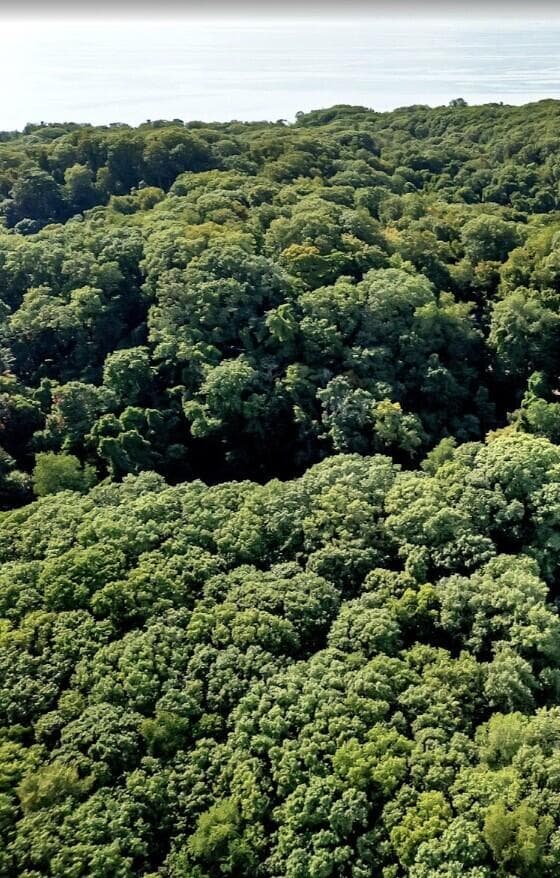 12879 Lakeshore Drive LOT