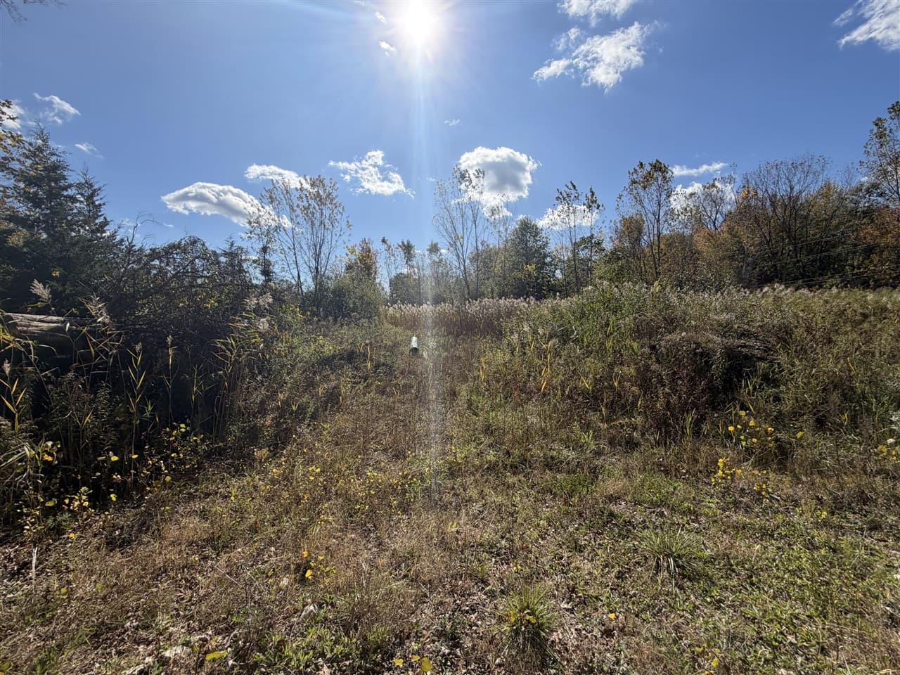 12608 Rawsonville Road