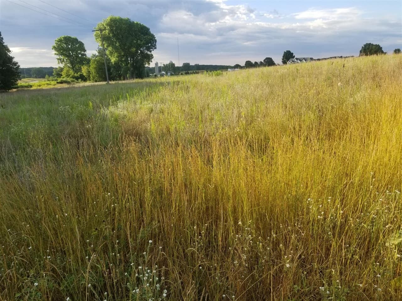 859 Greystone Drive 13