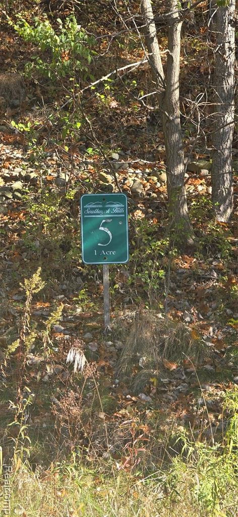 11136 Delphinium Drive