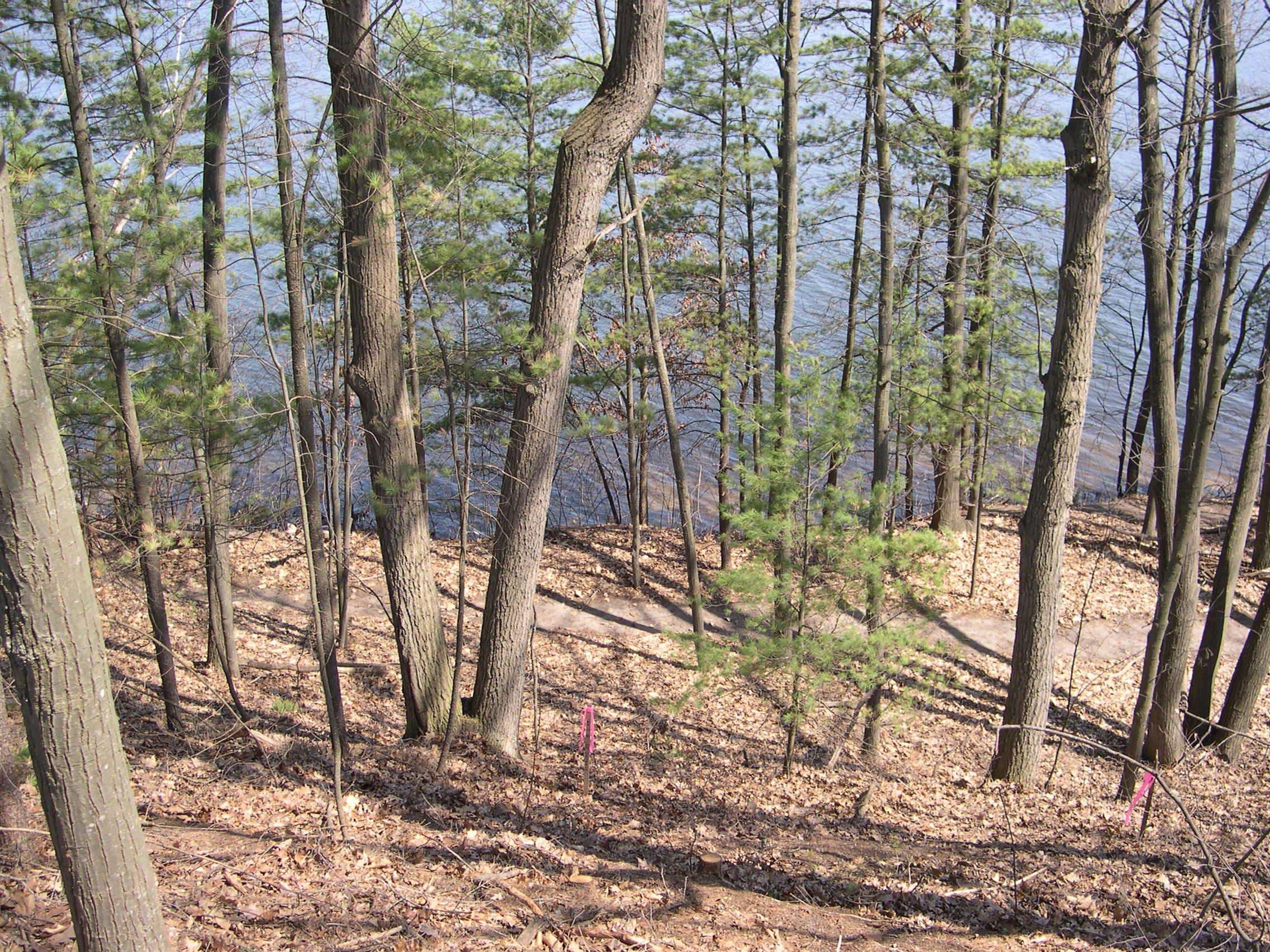 1597 Edgewater Ridge Lot: 8