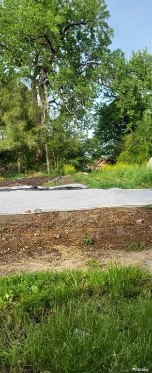 2969 Rosa Parks Boulevard