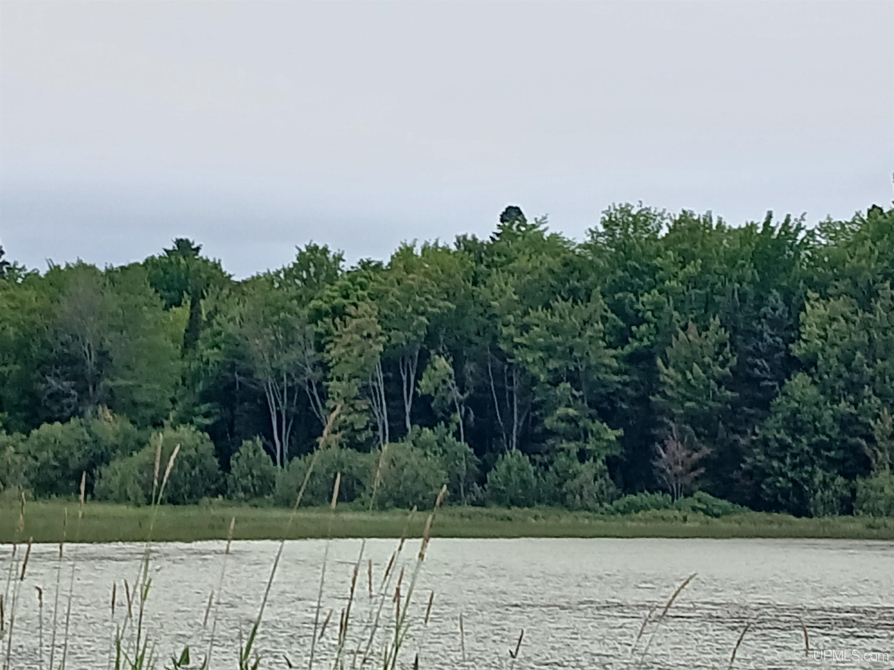 Parcel 7 Keweenaw Pass Road